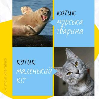 /Files/images/зображення_viber_2022-11-07_09-59-17-924.jpg